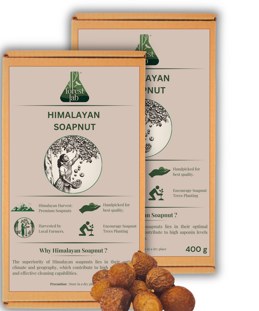 Himalayan Soapnuts 400g (Pack of 2)