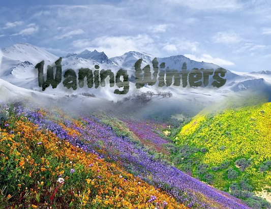 Waning Winters: Preblossom climate change in Himalayas