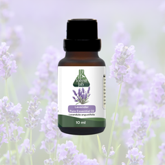 Forest Lab Lavender Pure Essential Oil