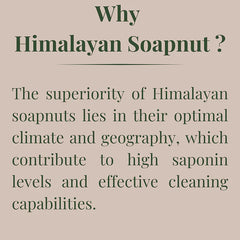 Himalayan Soapnuts 400g (Pack of 2)