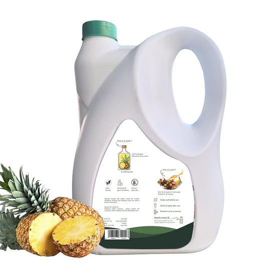 Forest Lab Fruits and Vegetable Wash 5 Liters