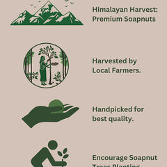 Himalayan Soapnuts  400g