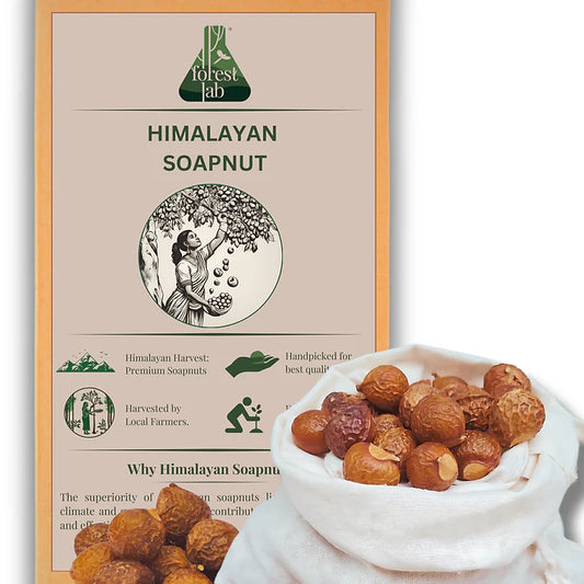 Himalayan Soapnuts  400g