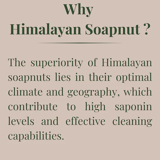 Himalayan Soapnuts  400g